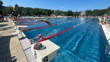 Erfolgreich beim 50. Eichstätter Schwimmfest